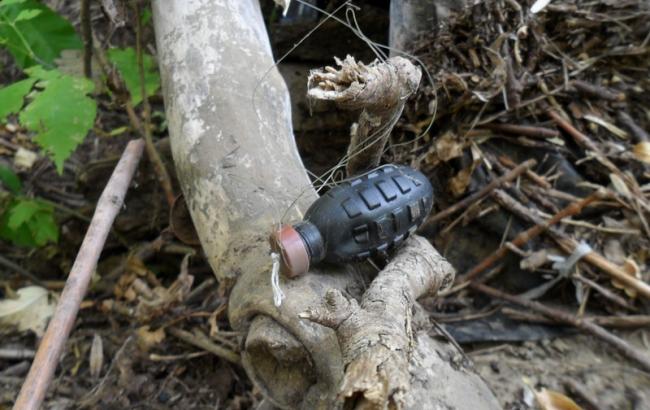 � ���� ������ �������� �� ����������