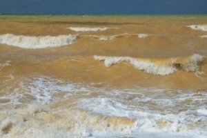 El Mar Negro en Crimea se convirtió en amarillo