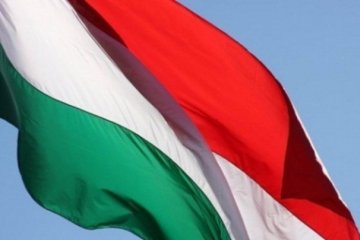 Mercenary gets suspended term in Hungary for fighting with 'DPR'