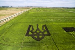 Inscriben el tridente gigante de arroz en el Libro de los Récords de Ucrania