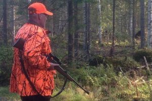 На Луганщине впервые за четыре года разрешили охотиться на пернатую дичь