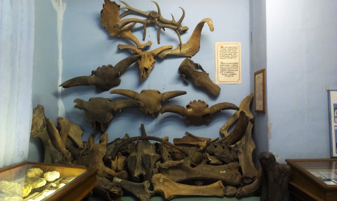 У Музеї природи у Канівському заповіднику