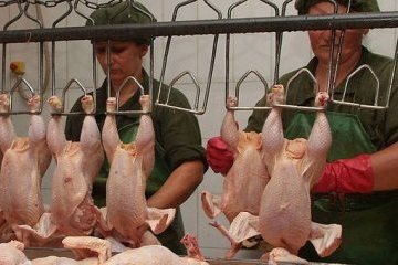 Продукти птахівництва з України з'явились ще в 21 країні – Держспоживслужба