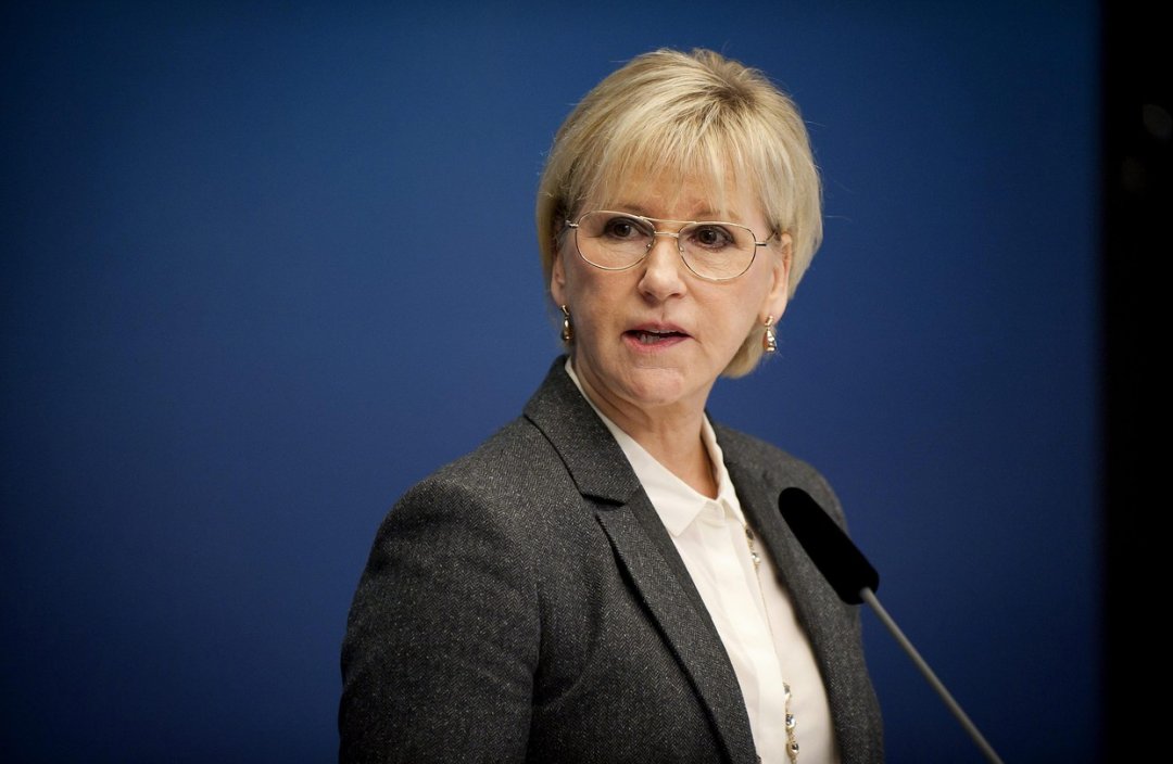 Swedish foreign minister urges Ukraine to improve legislation on e-declaration