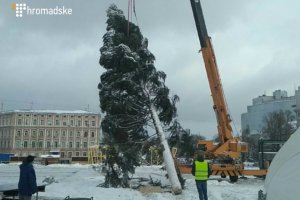 Kiev: la mise en place du sapin principal de l'Ukraine