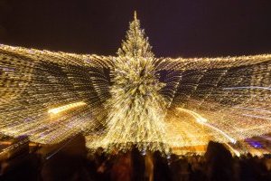 Le sapin principal de l'Ukraine s’est allumé à Kiev