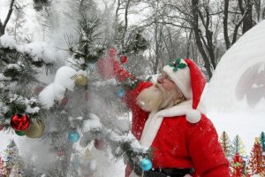 Une clairière des arbres de Noël artificiels présentée à Kyiv