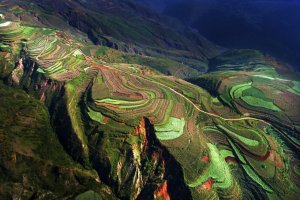 Entre le ciel et la terre: les meilleures photos faites par les drones