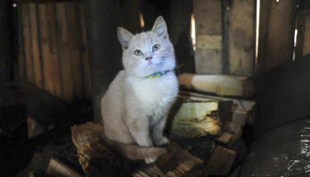 История Патрона Рыжего. Часть 3
