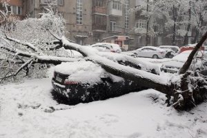 Лютий квітень, хокей та шлюбні ігри