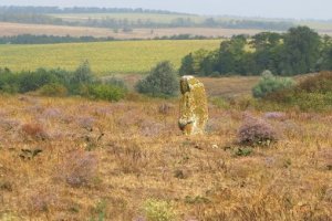 Степная ностальгия. Не так, чтобы по Чехову, но все же…