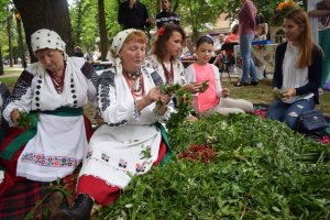 На Вінниччині вперше у країні провели презентацію села у місті