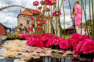 L’amour à St-Mikloch avec 30 000 roses