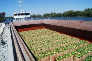 Як з ціни 1,99 грн за кіло кавуна «намалювати» 7,99