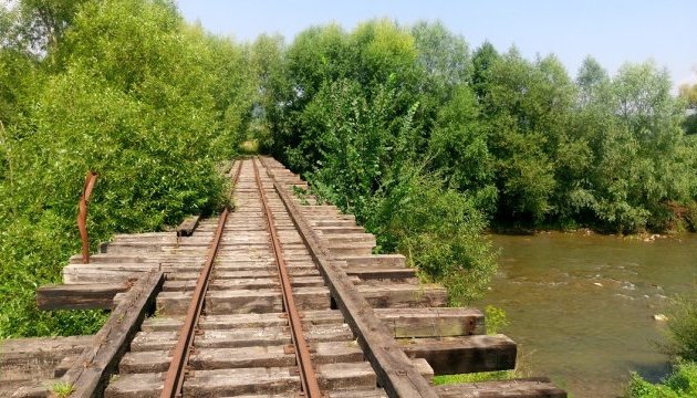 "Анця Кушницкая" вернулась в Иршаву с туристическим ретро-паровозом