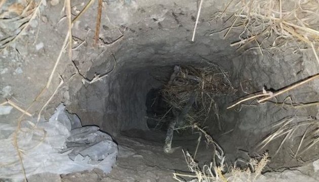 Мігранти прорили тунель з Мексики в Сан-Дієго Мігранти прорили тунель з Мексики в Сан-Дієго