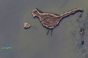 Une île en forme de faisan est apparue dans la région d’Odessa (photos)