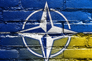 Programme annuel de coopération Ukraine-OTAN : les thèses principales