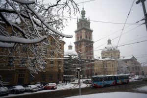 Во Львов пришла настоящая зима: снежные фото