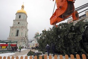 Тайна киевской елки: почему дерево "тюнингуют" дополнительными ветками