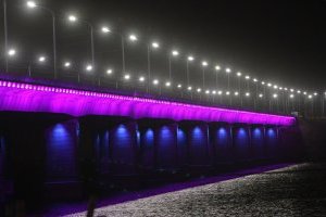 Большая вода, кот-рекордсмен и свобода Саакашвили