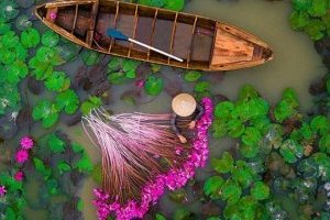 Las mejores fotos hechas con drones en 2017