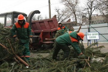 У Києві продовжили роботу пунктів збору новорічних ялинок до 9 лютого