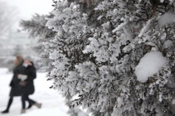 8 февраля: народный календарь и астровестник
