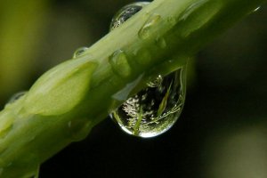 El 22 de marzo es el Día Mundial del Agua