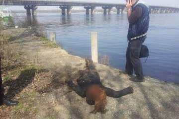 Под мостом Патона нашли тело женщины