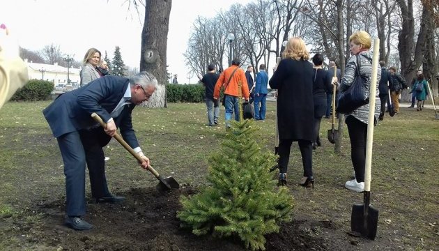 Депутати посадили ялинки у Маріїнському парку Депутати посадили ялинки у Маріїнському парку