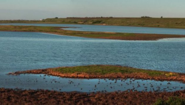 У Тилігульський лиман повертаються птахи та риба, вода піднялася на 70 см У Тилігульський лиман повертаються птахи та риба, вода піднялася на 70 см