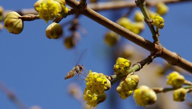 24 квітня: народний календар і астровісник 24 квітня: народний календар і астровісник