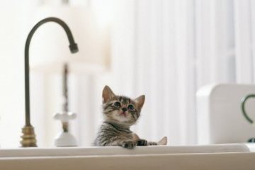 В Днипре большая авария на водопроводе: часть города осталась без воды