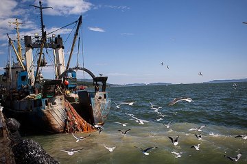 Затриманих біля Криму українських моряків утримують в окупованому Севастополі