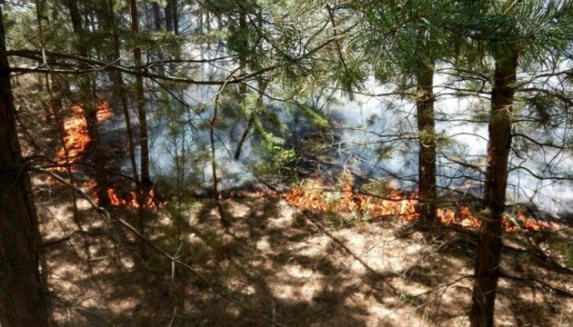 Из-за обстрелов боевиков под Северодонецком горят 15 гектаров леса Из-за обстрелов боевиков под Северодонецком горят 15 гектаров леса