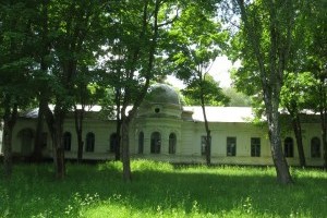 Садиба Лизогубів у Седневі: поспішайте побачити і врятувати!