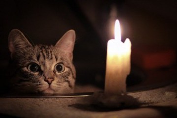 Le mauvais temps a laissé 129 villes et villages ukrainiens sans électricité