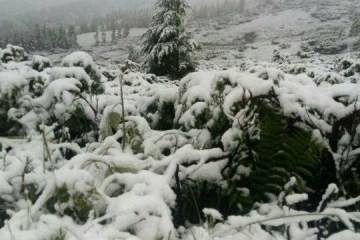 La nieve cae en las montañas de los Cárpatos