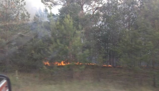 Поліція відкрила справу за фактом пожежі у Чорнобильській зоні Поліція відкрила справу за фактом пожежі у Чорнобильській зоні