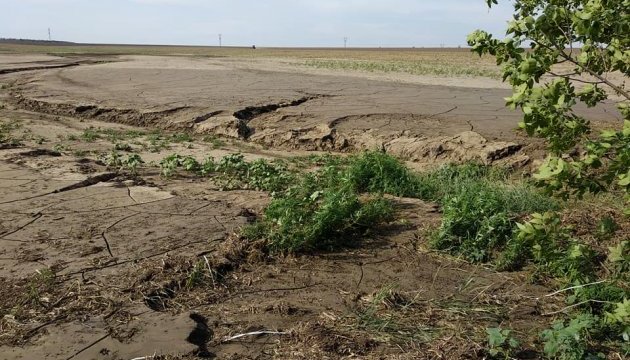 У двох районах Херсонщини сильна злива затопила поля У двох районах Херсонщини сильна злива затопила поля