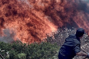 Кількість жертв лісових пожеж у Греції зросла до 98