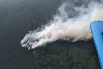 У Білорусі горять заповідні Ольманські болота