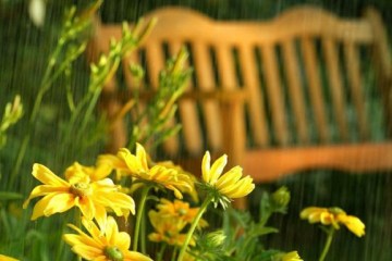 В Украине почти без дождей и +22°