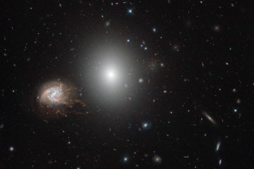 Hubble показал скопление галактик в созвездии Волос Вероники