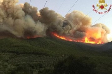 Большой лесной пожар в Италии "выгнал" из домов сотни людей
