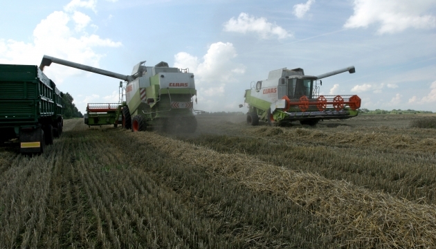 Agrarministerium erwartet Rückgang von Getreideanbauflächen im Herbst um ein Drittel