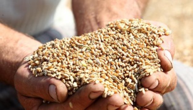 Agrarexport der Ukraine um 28 % gestiegen