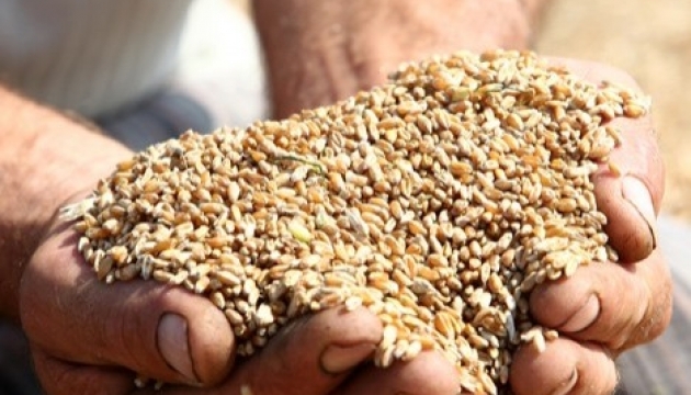 Prysiazhniuk: Ukraine to export seven million tons of grain by end of ...
