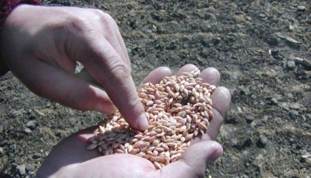 UN hilft Afrika mit ukrainischem Getreide
